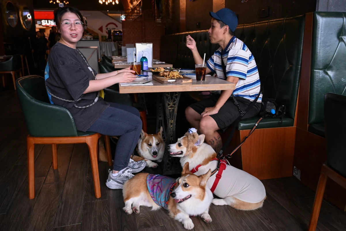 Hong Kong Welcomes Canine Companions as Landmark Policy Allows Dogs in Cafes and Restaurants