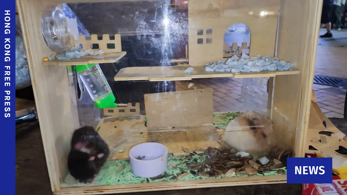 Reward Offered for Information on Horrific Hamster Abuse Case in Hong Kong