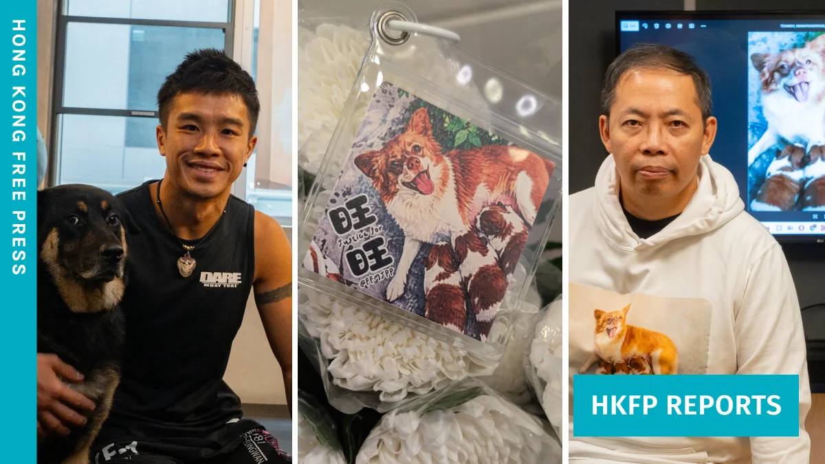 The Unseen Boundaries of Compassion: Hong Kong Mourns a Stray Dog Amidst Shifting Societal Norms