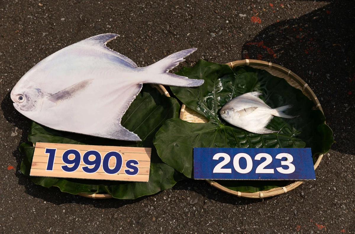 Volunteers Dive Deep into Taiwan’s Ocean Crisis: From Fishing Ports to Public Streets, Grassroots Action Tackles Overfishing and Labor Rights